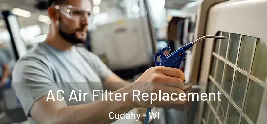 AC Air Filter Replacement Cudahy - WI