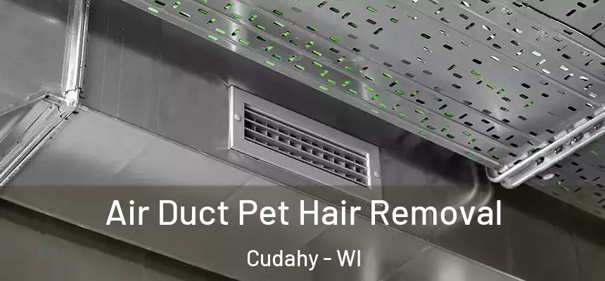 Air Duct Pet Hair Removal Cudahy - WI