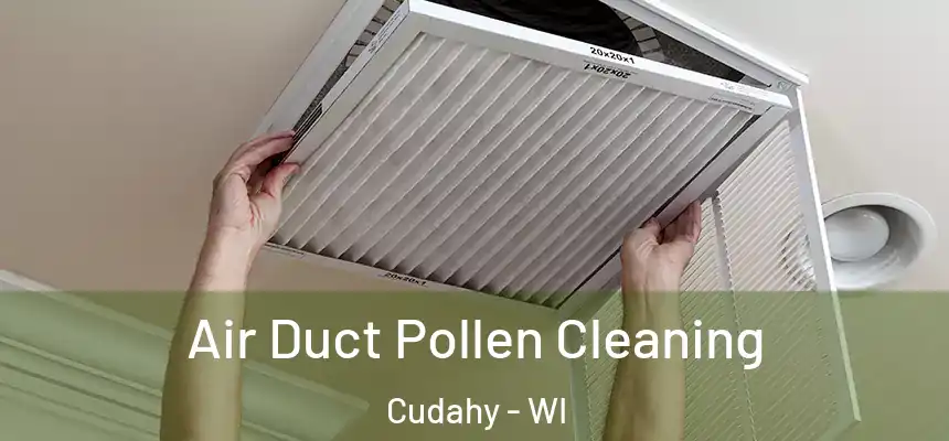 Air Duct Pollen Cleaning Cudahy - WI