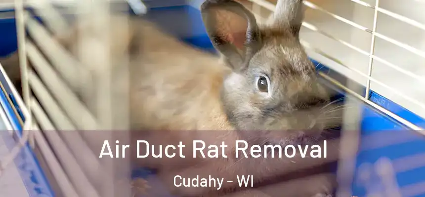 Air Duct Rat Removal Cudahy - WI