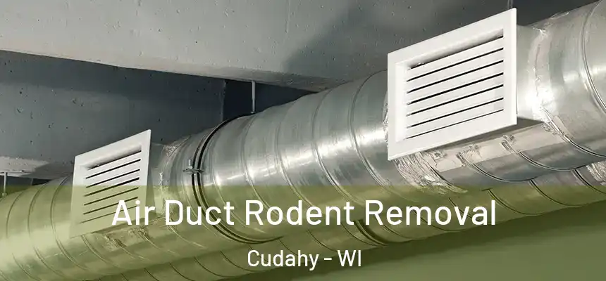 Air Duct Rodent Removal Cudahy - WI