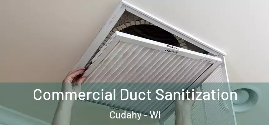Commercial Duct Sanitization Cudahy - WI