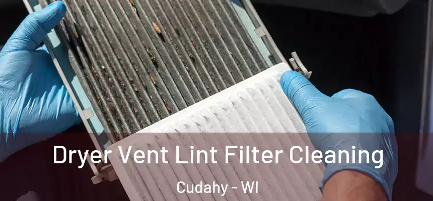 Dryer Vent Lint Filter Cleaning Cudahy - WI