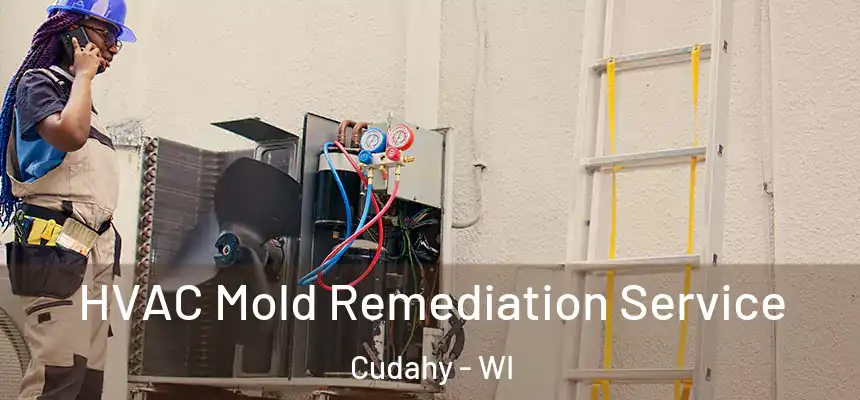  HVAC Mold Remediation Service Cudahy - WI