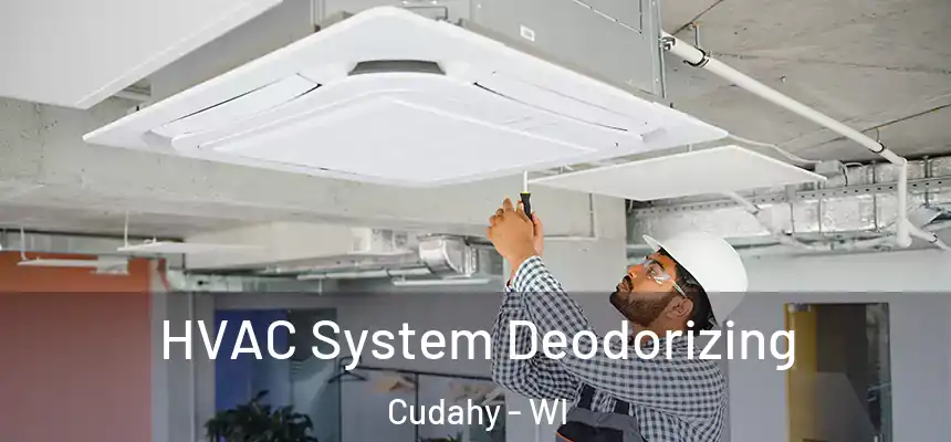 HVAC System Deodorizing Cudahy - WI