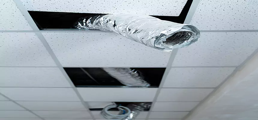 Affordable HVAC Sanitizing After Pest Removal in Cudahy