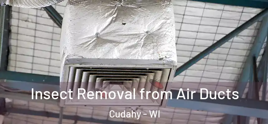  Insect Removal from Air Ducts Cudahy - WI