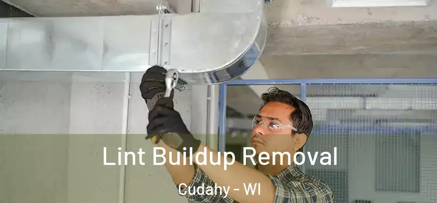Lint Buildup Removal Cudahy - WI