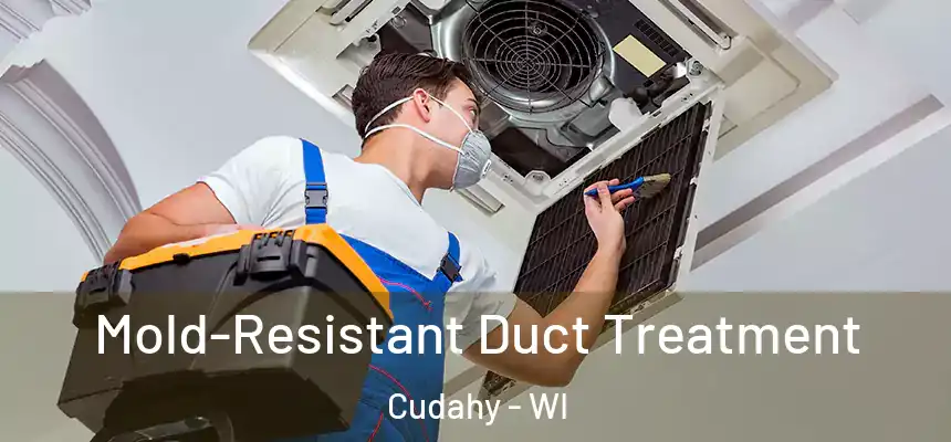  Mold-Resistant Duct Treatment Cudahy - WI