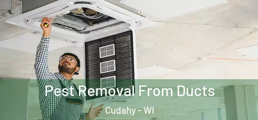 Pest Removal From Ducts Cudahy - WI