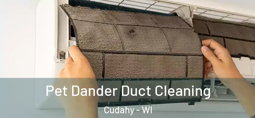Pet Dander Duct Cleaning Cudahy - WI