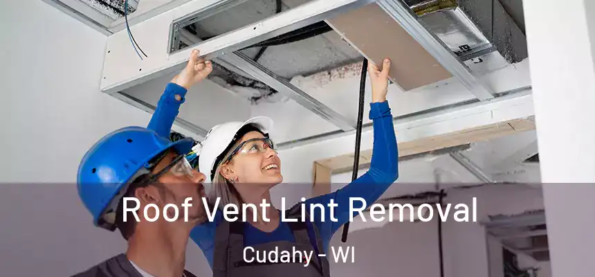 Roof Vent Lint Removal Cudahy - WI