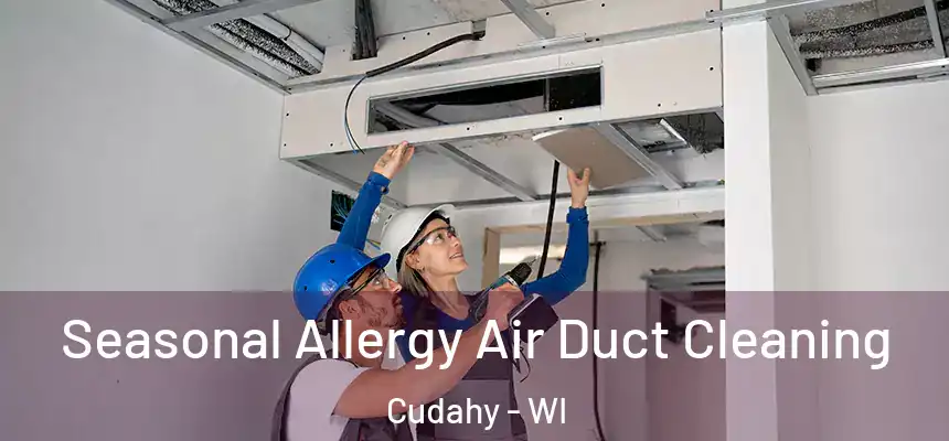 Seasonal Allergy Air Duct Cleaning Cudahy - WI