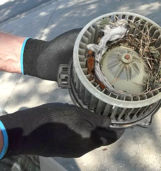 About Air Duct Rat Removal in Cudahy, WI