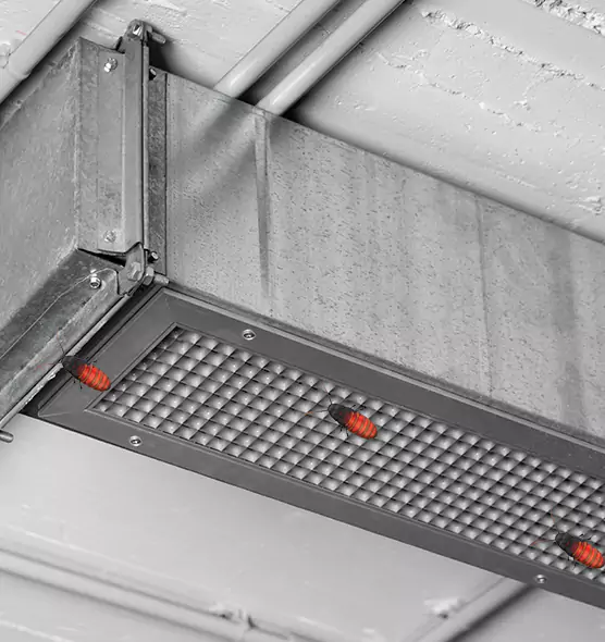 Affordable Insect Removal from Air Ducts in Cudahy, WI