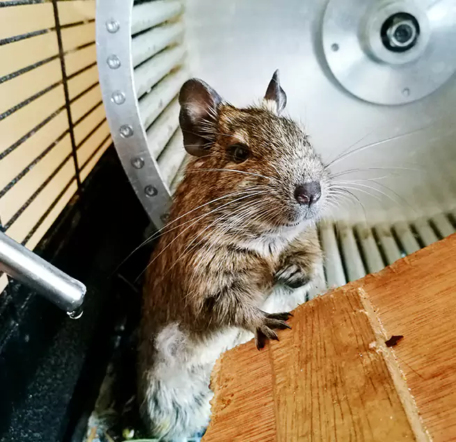 Why Homeowners & Businesses Trust Us Cudahy, WI