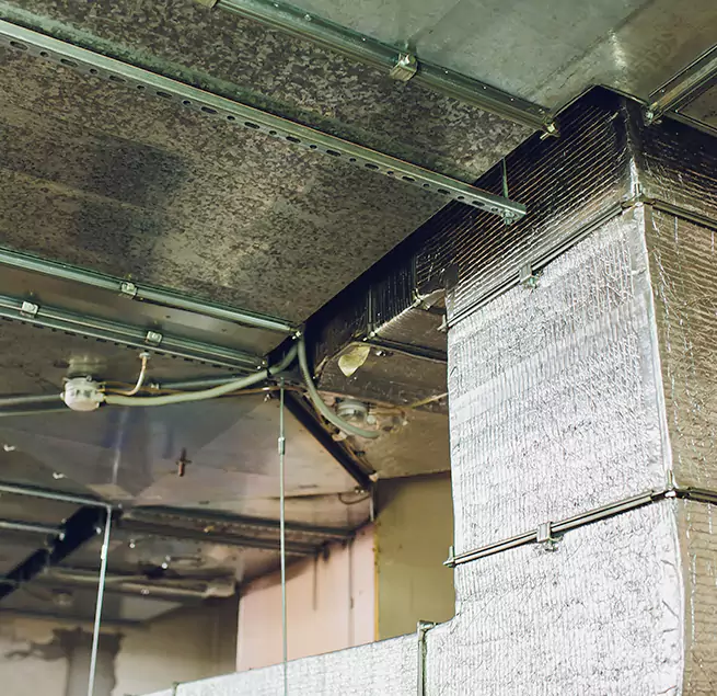 Why Homeowners & Businesses Trust Us in Cudahy, WI?