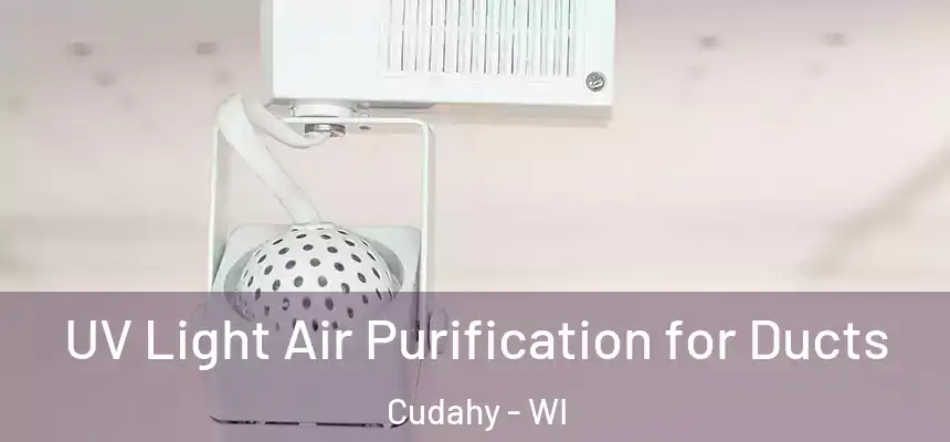  UV Light Air Purification for Ducts Cudahy - WI