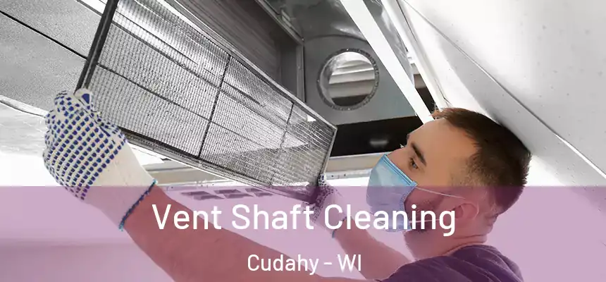 Vent Shaft Cleaning Cudahy - WI
